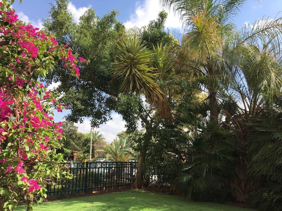 Апарт отель Pool & Garden Реховот Экстерьер фото